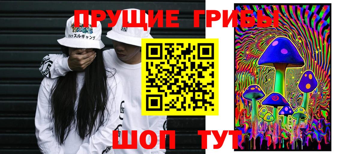 Галлюциногенные грибы Psilocybine cubensis Октябрьский