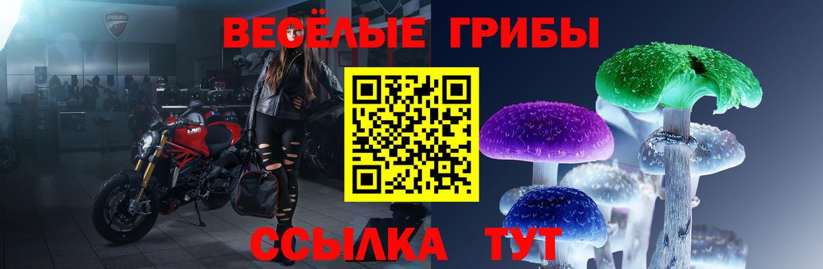 Псилоцибиновые грибы Psilocybe  Вход с VPN  Октябрьский 